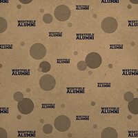 GRAPHICS & MORE Westfield State Owls Alumn Premium Kraft Gift Wrap Wrapping Paper Roll