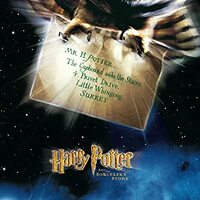 Trends International Harry Potter and The Sorcerer's Stone - Owl One Sheet Wall Poster, 34L x 2