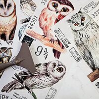 Redesign with Prima - Owls Small Transfers 6"x12" 3 Sheets Rub on Transfers for Furniture 