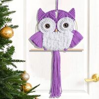 ACEDSGN Macrame Owl Wall Hanging - Handmade Boho Hanging Tapestry Art Home Decor, Nature-Inspired Gi