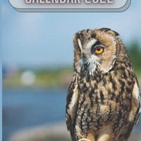 Owl Calendar 2022: Notepad Notebook For Day Activity Organiser Diary Schedules Work To Do List Daily