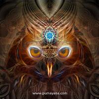 Nina Chusiqa | Psychedelic Tapestry | Wall Hanging | Sacred Geometry | Visionary | Trippy Art | DMT 