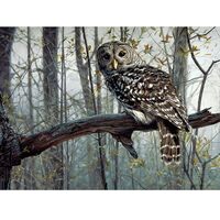 Gift Essentials 1000 Piece Puzzle, Spirit of The Forest - Owl in Tree, Jigsaw Puzzle for Adults and 