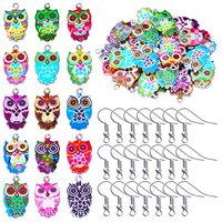 30pcs 15 Styles Colorful Owl Enamel Charms Pendants Halloween Animal Owl Dangle Charms with 30pcs Si