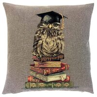 Yapatkwa Belgian Tapestries, Owl with Books Decorative Woven Tapestry Pillow / Cushion Cover, 18&quo
