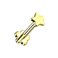 Pierced Owl 16GA G23 Implant Grade Titanium Star Top Threadless Push in Flower Base Stud (Gold Tone)