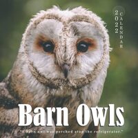 Barn Owls 2022 Calendar: Great Gifts for Anyone with Mini Calendar 7''x7''