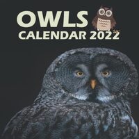 Owls 2022 Calendar: 12 month calendar 2022 for teens, men, women and work | Gift for nature lovers |