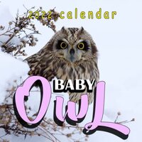 Baby Owl 2022 Calendar: Nature Animals Mini Monthly Planner 12 Months January 2022 - December 2022 C