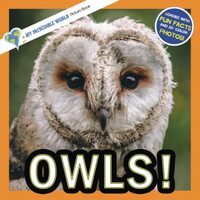 Owls!: A My Incredible World Picture Book for Children (My Incredible World: Nature and Animal Pictu