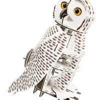 Build Your Own Moving Snowy Owl - Rotating Head Action - Eco Friendly Cardboard Craft Kit - Ages 8+