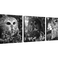 NAN Wind 3 Pcs Framed Black and White Owl Canvas Wall Art, 12x12 inches, Home Office, Living Room, B