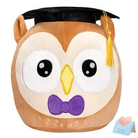 CozyWorld 12" Graduation Owl Plush Pillow Cute Stuffed Animal with Cap Soft Sofa Cushion Stretc