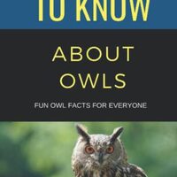 50 Things to Know Owls: Fun Owl Facts for Everyone (50 Things to Know About Birds)