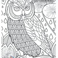 Owl: Owl coloring book for adults relaxation - animal mandala coloring book for kids ages 9-12 - ani