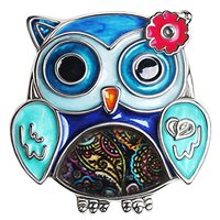 DOWAY Enamel Flower OWl Gifts Cute Owl Brooch Pins for Women Fashion Jewelry Charms (Blue)