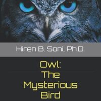Owl: The Mysterious Bird