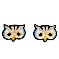 2Pcs Cute Small Owl Eye Iron On Patches, Kawaii Embroidered Sew On Patches Applique Repair Patch DIY