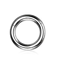 Pierced Owl 8GA-2GA Large Gauge 316L Stainless Steel Hinged Segment Clicker Ring (Gauge: 5mm (4GA) /