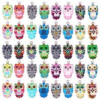 COGCHARGER 2 Sets 40 Pieces Owl Charms Pendant Halloween Owl Alloy Enamel Charms Mixed Color for Jew