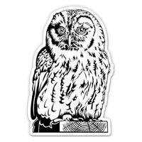 Owl Black and White Sticker - 5" Laptop Sticker - Waterproof Vinyl for Car, Phone, Water Bottle