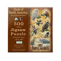 SUNSOUT INC - Owls of North America - 500 pc Jigsaw Puzzle by Artist: Susan Bourdet - Finished Size 