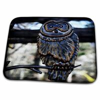 3dRose Owl Garden Décor is a Beautiful Sculpture of an owl - Bathroom Bath Rug Mats (rug-2120