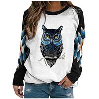 Mnhhatv Womens Cute Owl Graphic Sweatshirt Plus Size Long Sleeve Crew Neck Blouse Vintage Loose Fit 