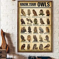 Curteny Vintage Metal Tin Sign Know Your Owls Vert Breeds Knowledge Poster Tin Sign Poster Vintage M