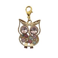 1 Pcs Cute Colorful Owl Charms, Owl Clip on Charms for Diy Jewelry, Bird Lover Lobster Clasp