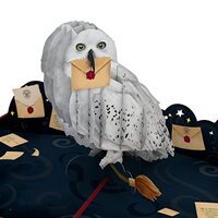 Lovepop Harry Potter Hedwig™ Birthday Delivery Pop Up Card, 5 X 7 Inches, Handcrafted 3D Pop-U