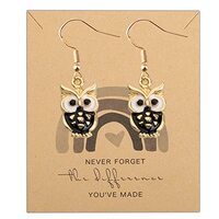 MYOSPARK Owl Earrings Owl Lover Gift Owl Inspiration Gift Animal Owl Jewelry Animal Lover Gift for W