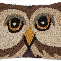 Chandler 4 Corners Artist-Designed Wise Owl Hand-Hooked Wool Decorative Throw Pillow - Wildlife Pill