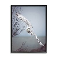 Stupell Industries Majestic Snowy Owl Flying Wingspan Wildlife Photography Framed Wall Art, Design B