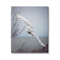 Stupell Industries Majestic Snowy Owl Flying Wingspan Wildlife Photography Canvas Wall Art, Design B