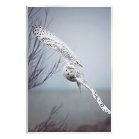 Stupell Industries Majestic Snowy Owl Flying Wingspan Wildlife Photography Wood Wall Art, Design By 