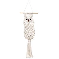 BYVUTE Owl Macrame Wall Plant Pot Hanger, Tapestry Art Decor Handmade Woven Boho Ornament Animal Bir