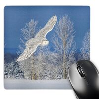 3dRose Canada, Ontario, Barrie. Female Snowy owl in Flight - Mouse Pads (mp-366413-1)