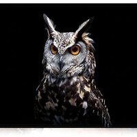 Game Mouse Pad with Seam Edge, Owl Anti-Skid Waterproof Base Computer Mouse Pad, Home Office Work an