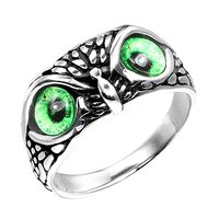 ANIEJUFI Stainless Steel Demon Eye Owl Ring Retro Animal Statement Rings for Women Men Jewelry Gift