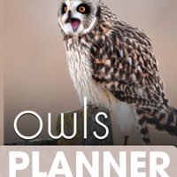 Owls 2023-2024 Pocket Calendar: 2 year Pocket Calendar 2023-2024 Monthly Planner January 2023 to Dec