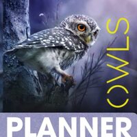 Owls 2023 Pocket Calendar: 2 -Year Monthly Planner for Women Pocket size | 24 Months Calendar Planne