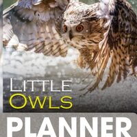 Little Owls Pocket Calendar 2023-2024: 12-Month 2023 Monthly Pocket Planner Calendar: Life, Plan On 