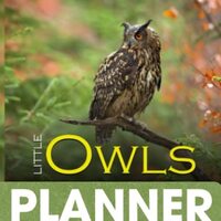 Little Owls 2023 Pocket Calendar: 2023 Monthly Planner With 2 Year Datebook Of Little Owls Vitally N