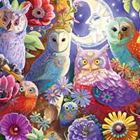 Ravensburger Night Owl Hoot 300 Piece Large Format Jigsaw Puzzle for Adults - 17466 - Every Piece is