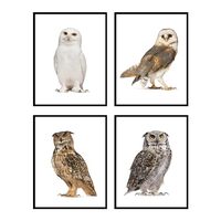 Insire Owl Wall Decor, Owl Wall Art, Owl Art, Owl Pictures Wall Decor, Owl Bathroom Decor, Owl Poste