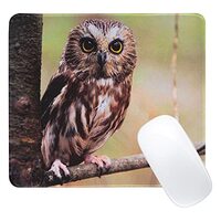 CAIRIAC Owl Mouse Pad, Waterproof Mouse Pad for Desk, Rectangle Mousepad for Laptop Computer PC, Sof