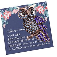 LQRI Funny Owl Gift Crystal Rhinestone Owl Brooch Pin Gift Owl Lover Gift Cute Animal Owl Jewelry Gi
