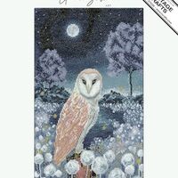 Heritage Crafts Cross Stitch Kit - Into The Night (Owl)