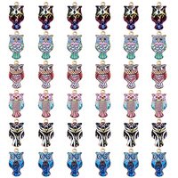 COGCHARGER 36 Pieces Owl Enamel Charm Pendant Metal Owl Charm Alloy Enamel Pendants for Jewelry Neck